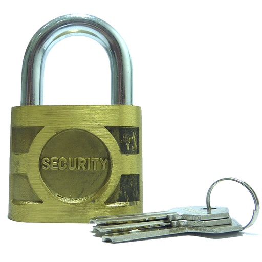 [1870] CANDADO 50MM BRONCE LION