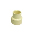 ADAPTADOR CPVC PRES CTS 3/4" HRXC TUBRICA