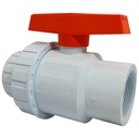 VALVULA 2 1/2" DE PVC CON ROSCA TUBRICA