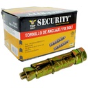 TORNILLO 1/4" X 50MM CON RAMPLUG METALICO SECURITY