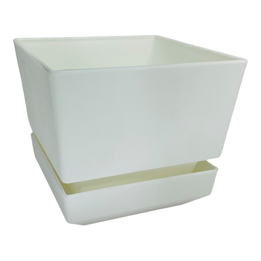 [11504] MATERO Y PLATO PP ART CUAD TEXT L12 BLANCO DP