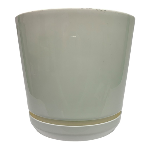 [11532] MATERO Y PLATO PP ART CIL LISO D-20 BLANCO DP