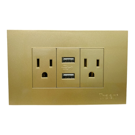 [11702] TOMACORRIENTE DOBLE DORADO CON USB TROEN
