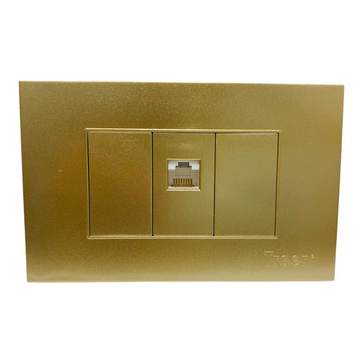 [11738] TOMA PARA CABLE DE RED RJ45 DORADO TROEN