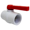 VALVULA 2 1/2" DE PVC CON ROSCA FIRM