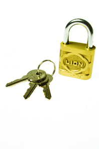 [3235] CANDADO 20MM BRONCE LION