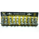 SET DE BORNES PARA BATERIAS 10 PIEZAS SECURITY