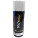PINTURA EN SPRAY CROMO PRO PAINT